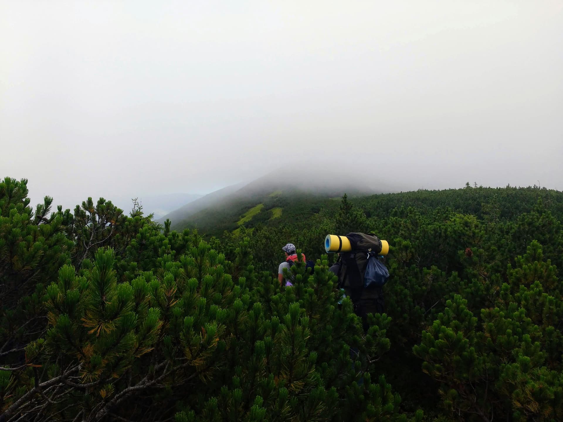 Senderistas disfrutando de la naturaleza dominicana en República Dominicana